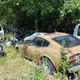 Illustration for article titled A Michigan Town Is Forcing This Man To Sell 20 Old Cars Off His Property Every Month